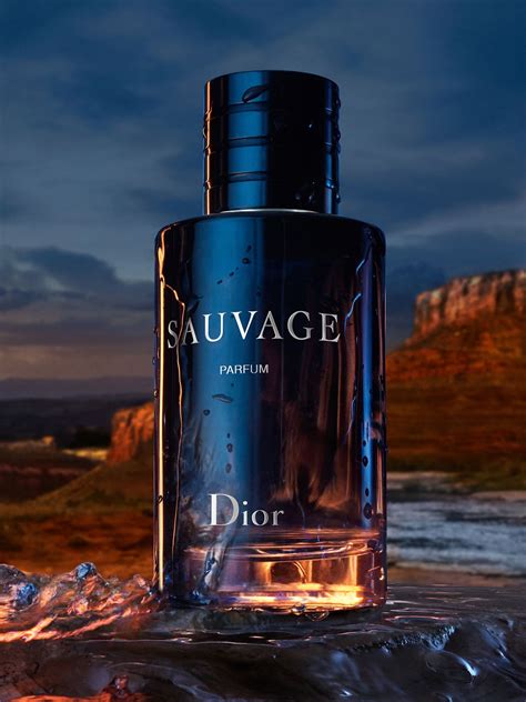 what is the best dior cologne|best version of dior sauvage.